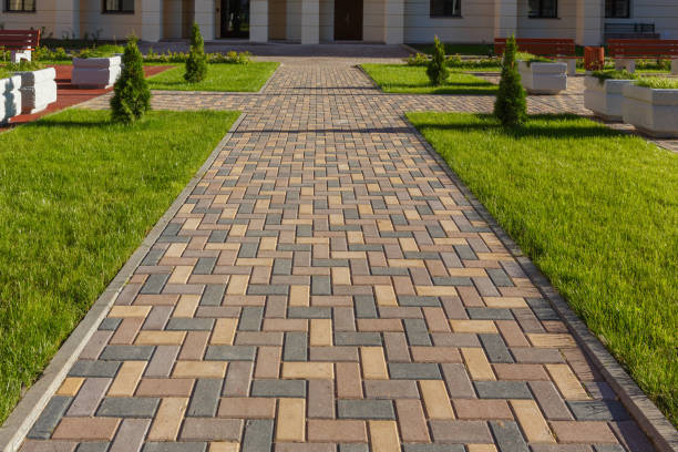 Best Residential Paver Driveway  in Cibecue, AZ